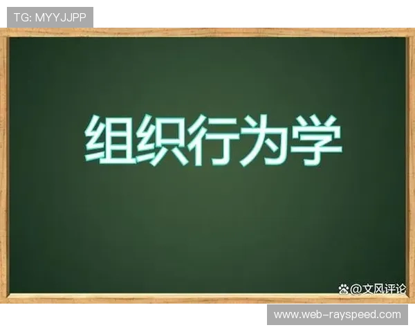 组织行为学优化统筹团队，激发潜能